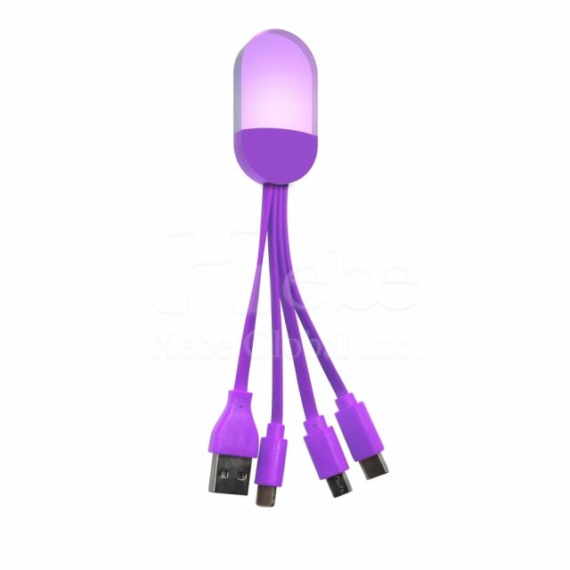 Logo lighting charging cable