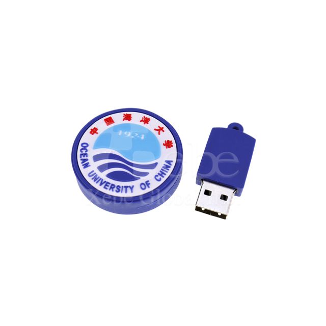 pie shaped logo custom USB